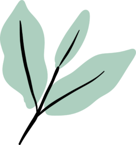 Flores de Villa