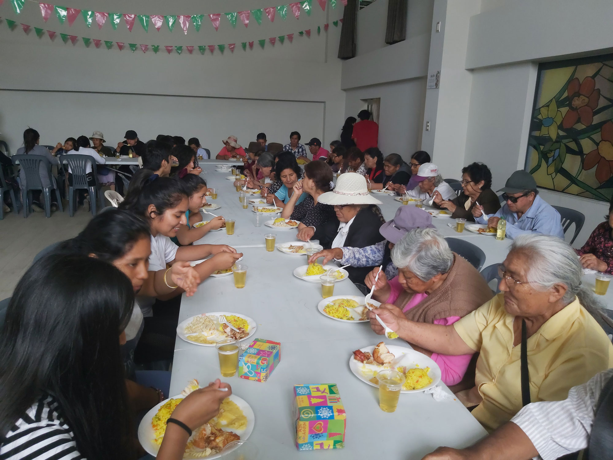 FeedingElderly2Web